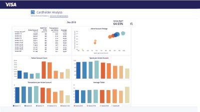 Product screen shot of cardholder analysis